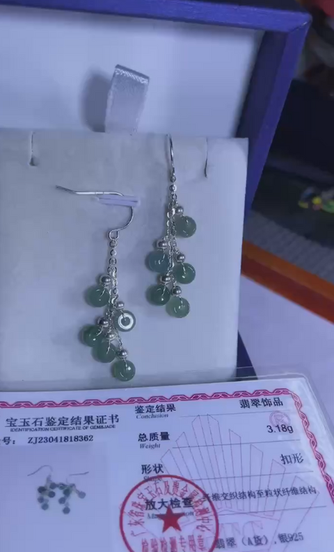 Anting-anting dari batu giok alami yang terbuat dari perak 925 dengan tekstur dan kehangatan yang lembut, gaya yang indah, sudah termasuk pajak pengiriman.
